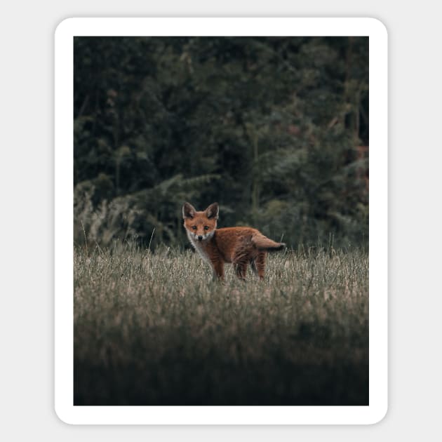 Red fox 2 Sticker by withluke